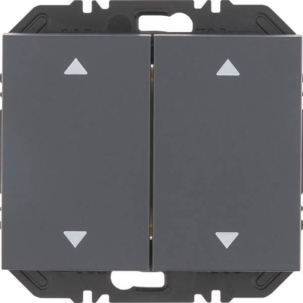 Berker Modul Wippe 2f 24127206