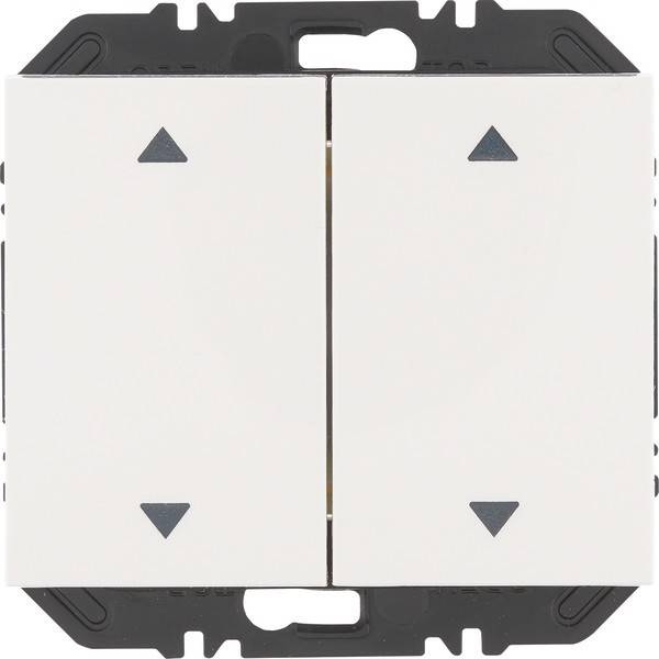 Berker Modul Wippe 2f 24127209