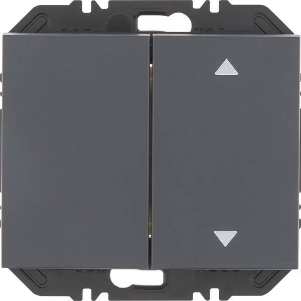 Berker Modul Wippe 2f 24127306