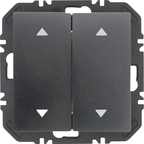 Berker Modul Wippe 2f 24128206