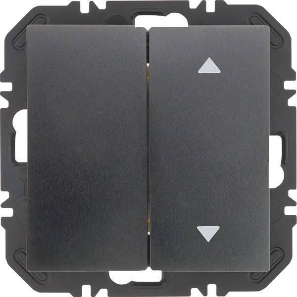 Berker Modul Wippe 2f 24128306