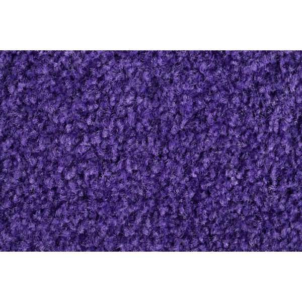 Schmutzfangmatte Eazycare Uniq 40x60cm lila