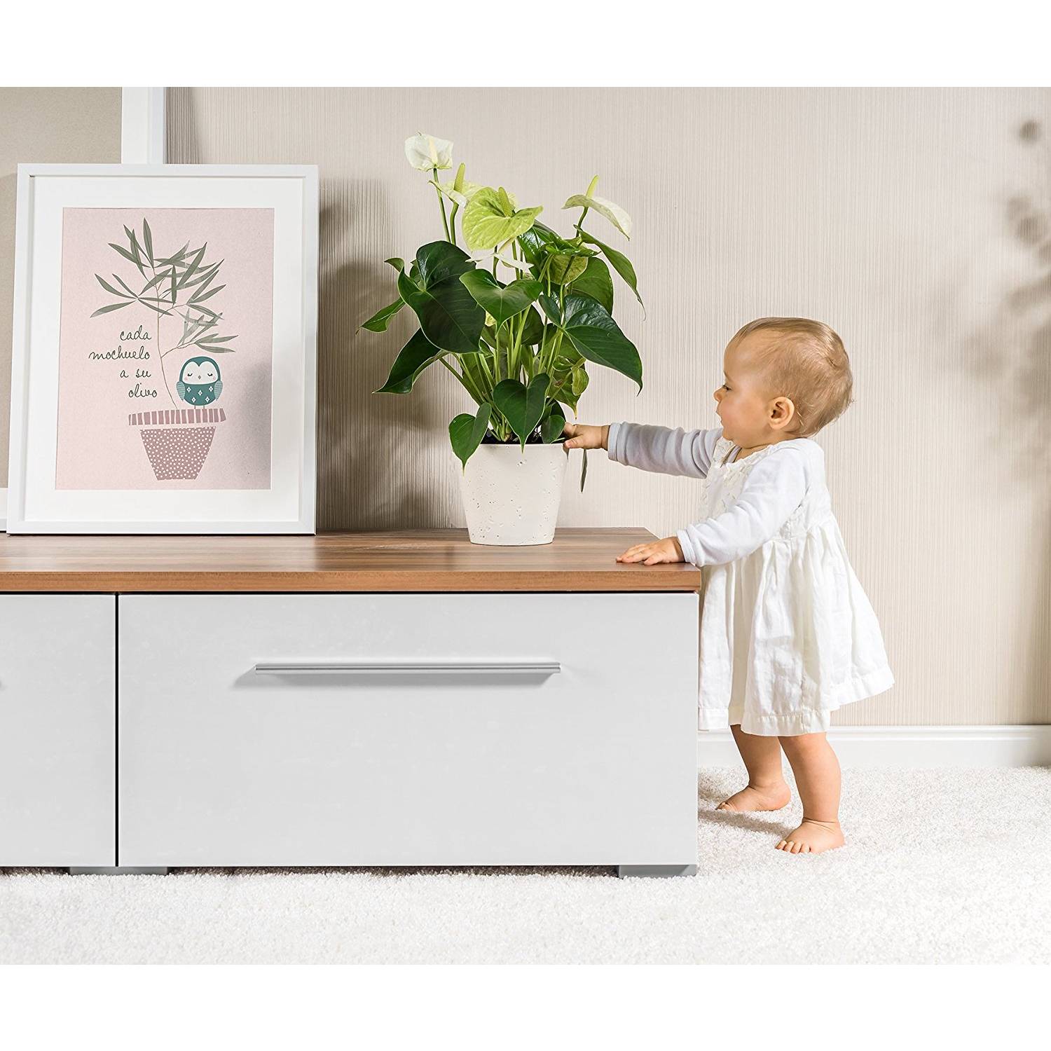 reer 83221 Pflanzenschutznetz, Nylon, Ø 30 cm, schwarz