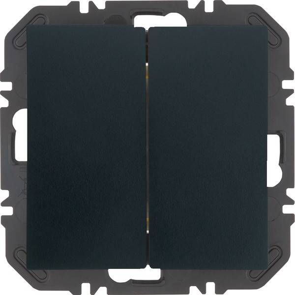 Berker Friends of Hue Tasten 24121636