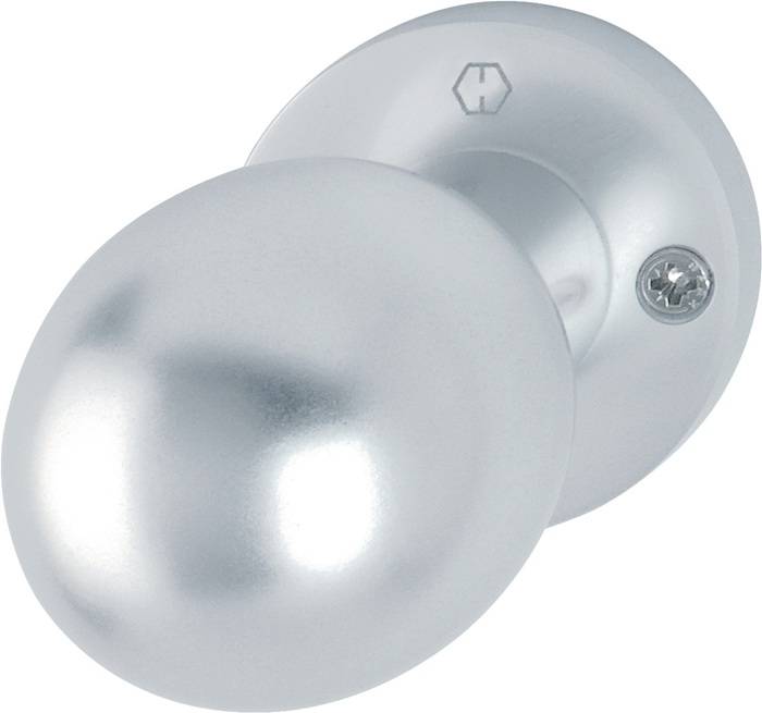 Ein runder, metallischer Türknauf in Silber mit einer glatten, spiegelnden Oberfläche, montiert auf einer kreisförmigen Basis.