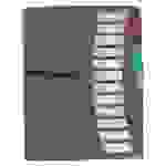 EXXO by HFP Registermappe / Ordnungsmappe / Sammelmappe, A4, aus PP, mit 12 farbig-transparenten Taben, Gummizug, mit Einschubfächern und Ausstanzung