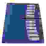 EXXO by HFP Registermappe / Ordnungsmappe / Sammelmappe, A4, aus PP, mit 12 farbig-transparenten Taben, Gummizug, mit Einschubfächern und Ausstanzung