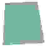 EXXO by HFP Sichthüllen / Aktenhüllen / Dokumentenhüllen A4, 180my, aus PP, mit Daumenaussparung, oben und seitlich offen, Farbe: transparent grün