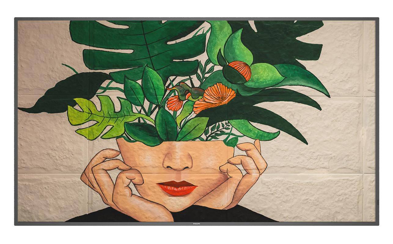 Philips 32BDL4511D - 81.28 cm (32") Diagonalklasse D-Line LCD-Display mit LED-Hi