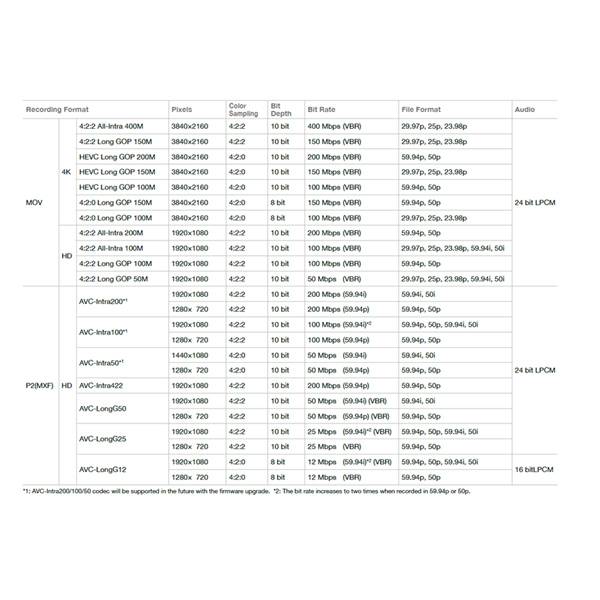 PANASONIC AJ-CX4000GJ - 2/3" 4K HDR Schulter-Camcorder mit wechselbarem B4-Objektivanschluss - schwarz