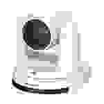 PANASONIC AW-UE20 - 4K UHD PTZ-Kamera mit Schwenk- & Neigefunktion (12x optischer Zoom | Weitwinkelobjektiv | 3G-SDI &