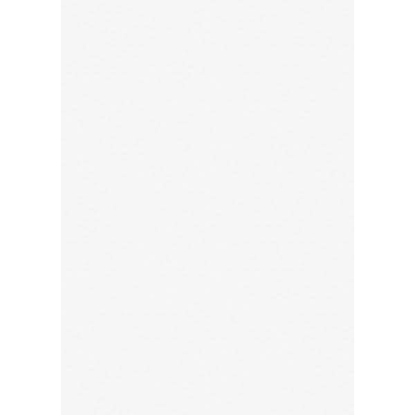 Universalkarton A4 220g/qm weiß