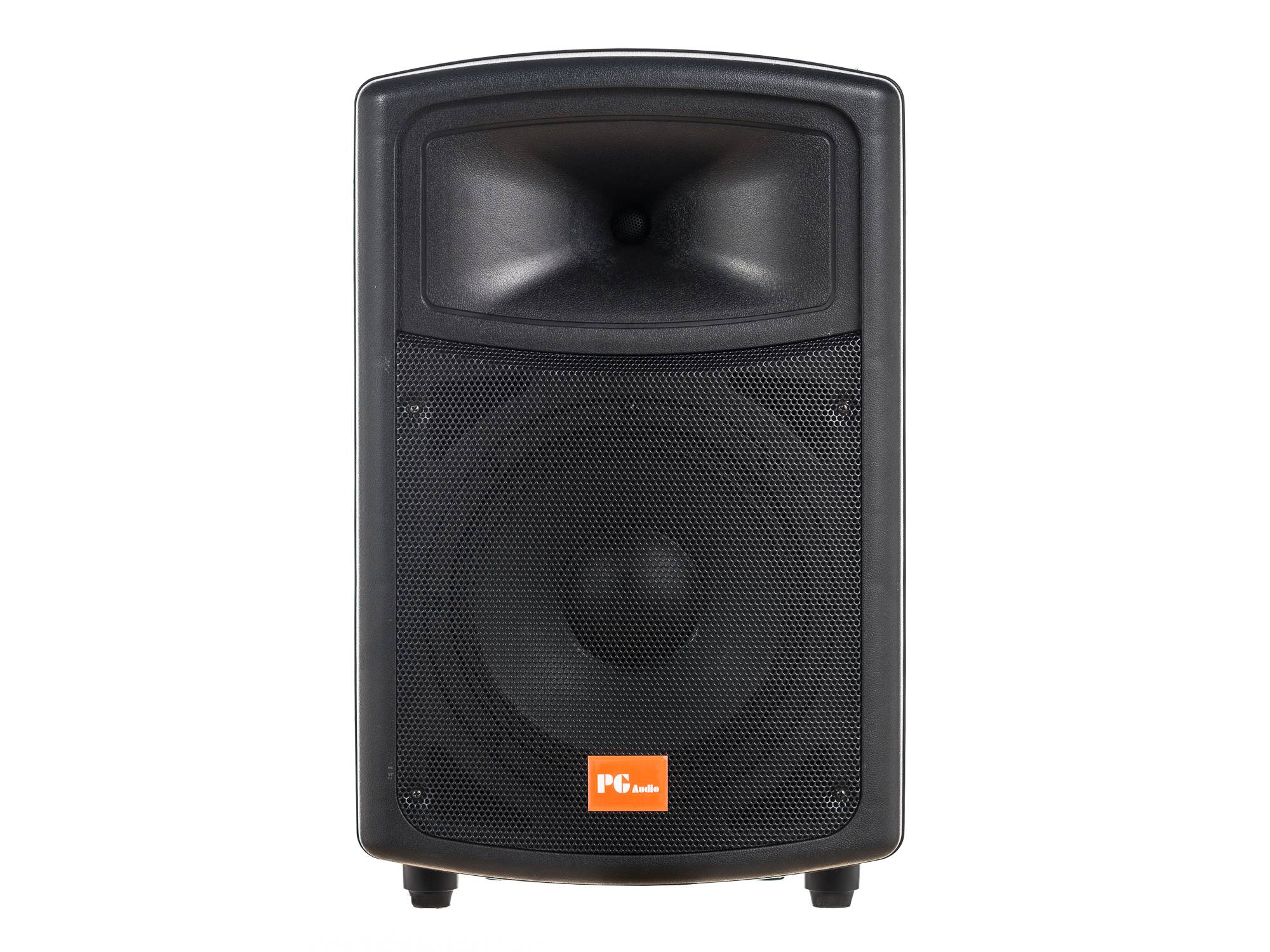 PG Audio PA 100 PA-Lautsprecher 10 Zoll – 150 Watt RMS / 300 Watt Max. – 1 Stück