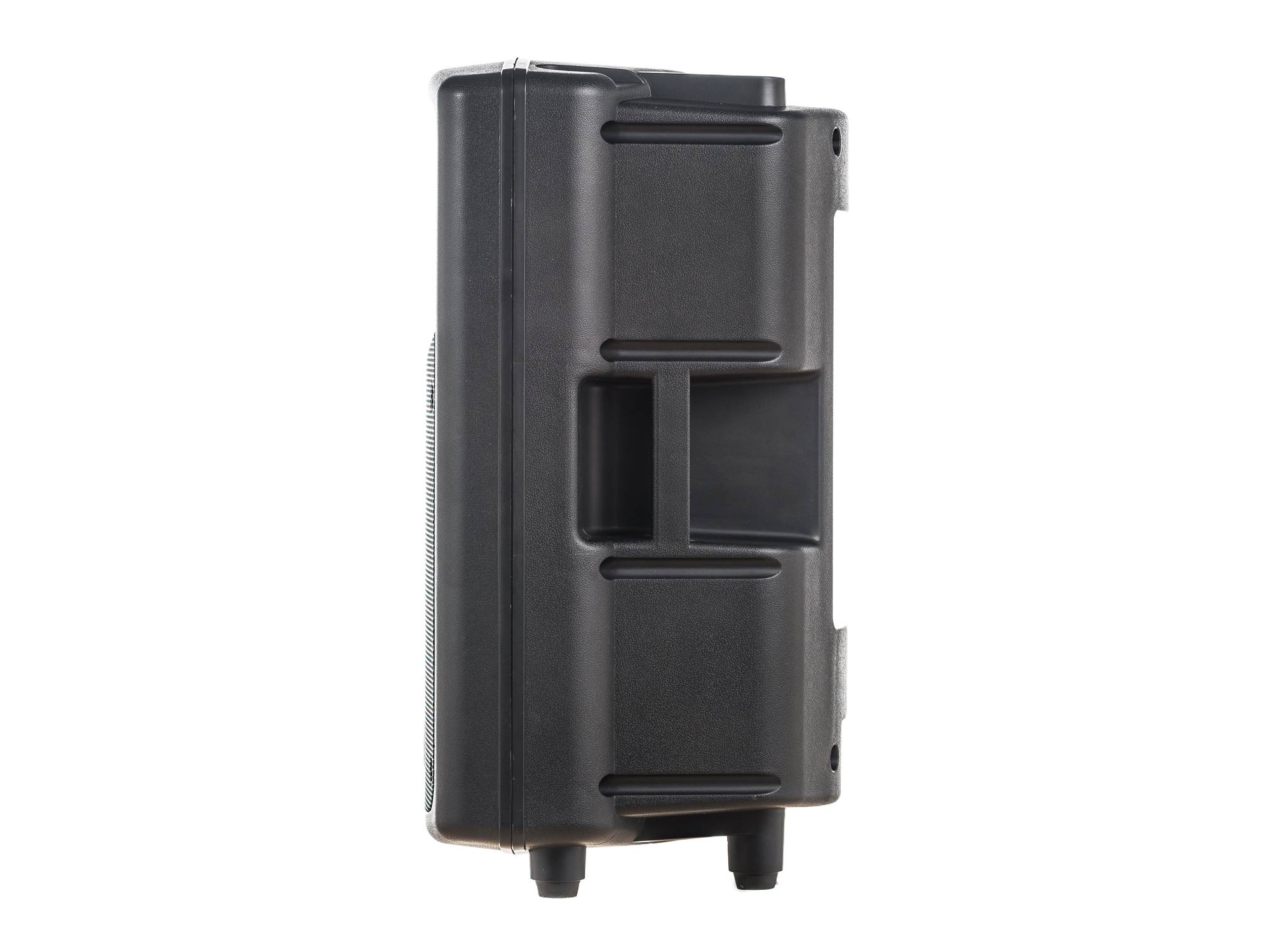 PG Audio PA 100 PA-Lautsprecher 10 Zoll – 150 Watt RMS / 300 Watt Max. – 1 Stück