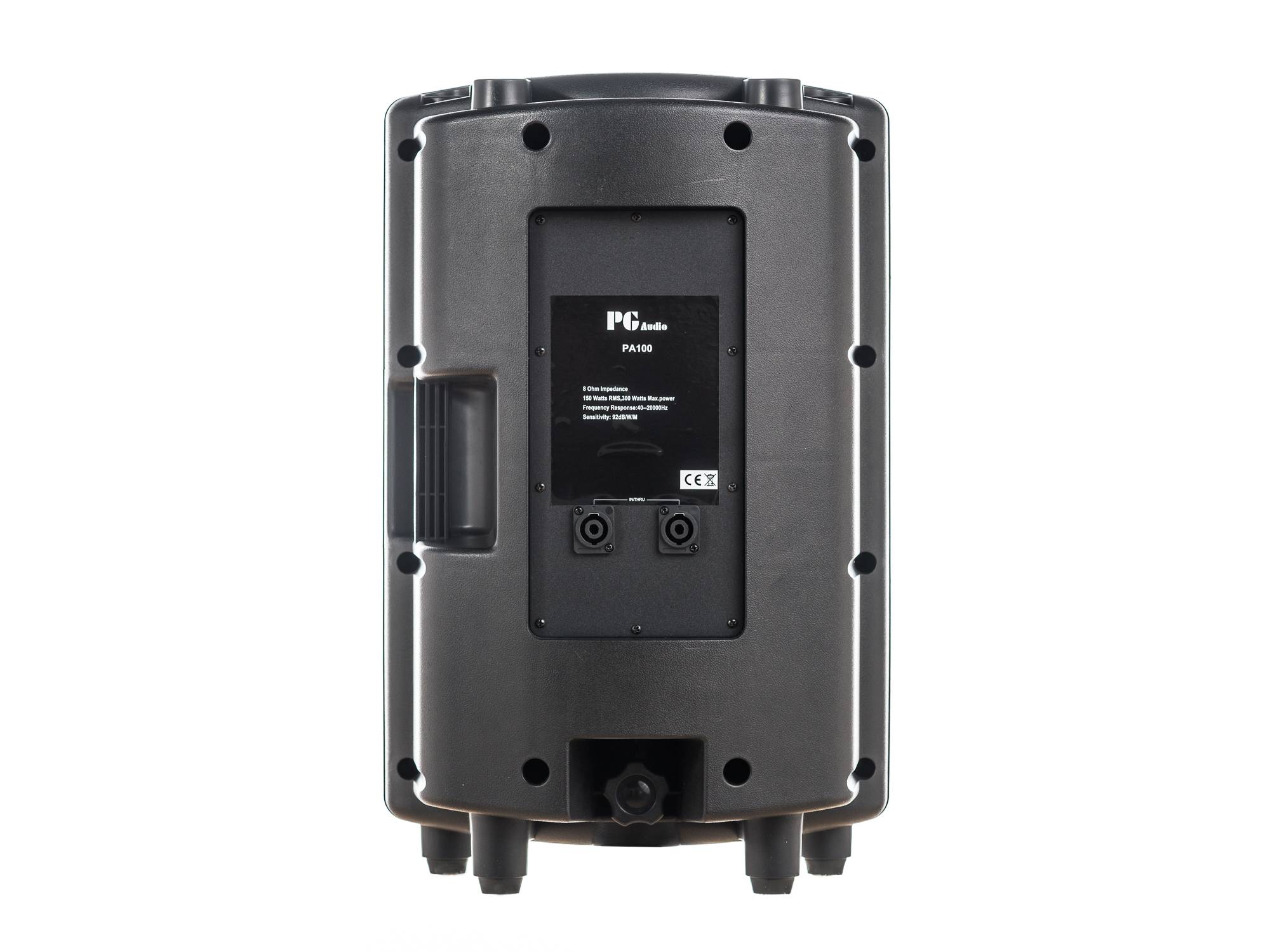 PG Audio PA 100 PA-Lautsprecher 10 Zoll – 150 Watt RMS / 300 Watt Max. – 1 Stück