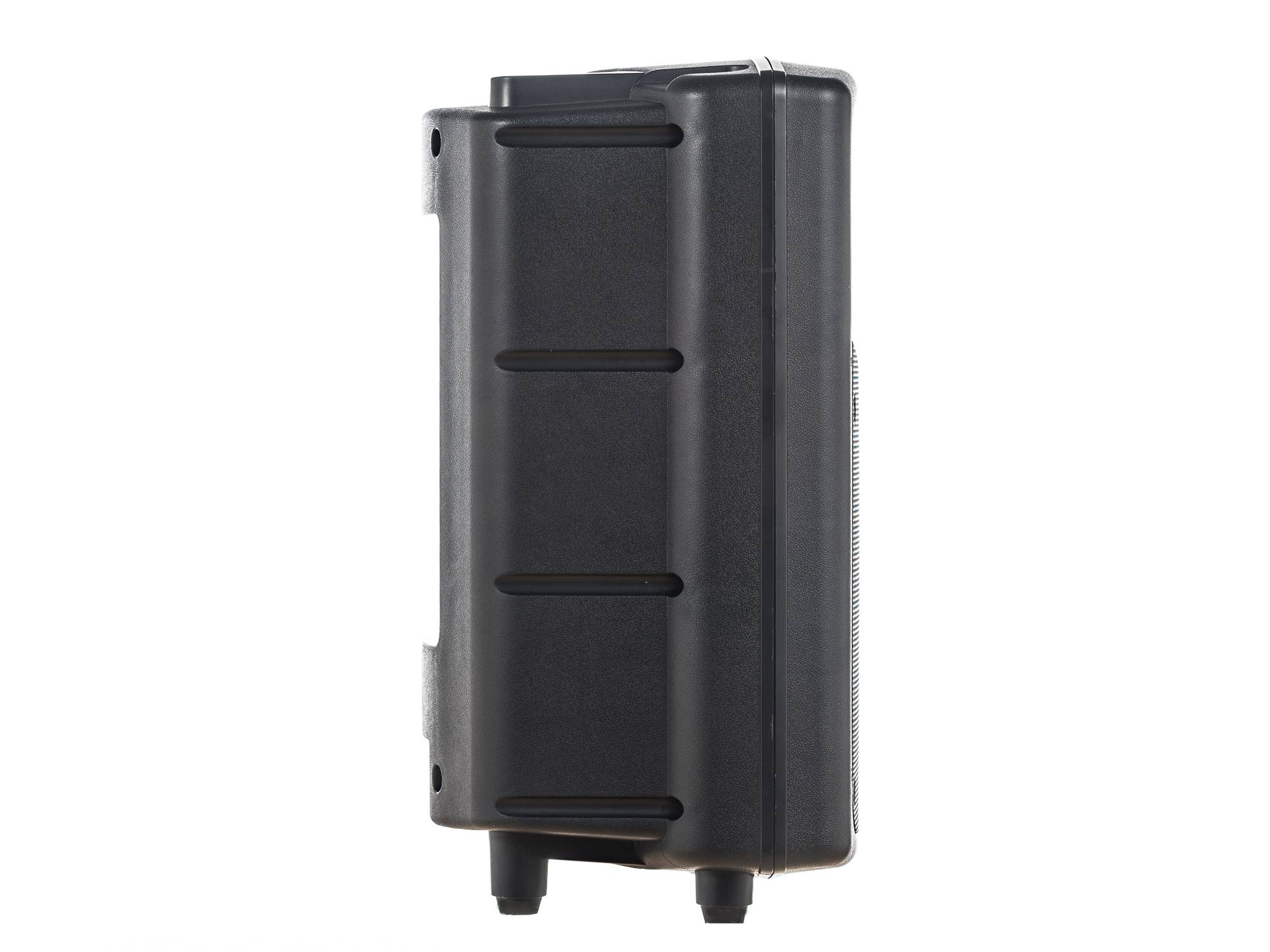 PG Audio PA 100,Disko,Party,Pa Lautsprecher,10 Zoll,1 Stück Neu