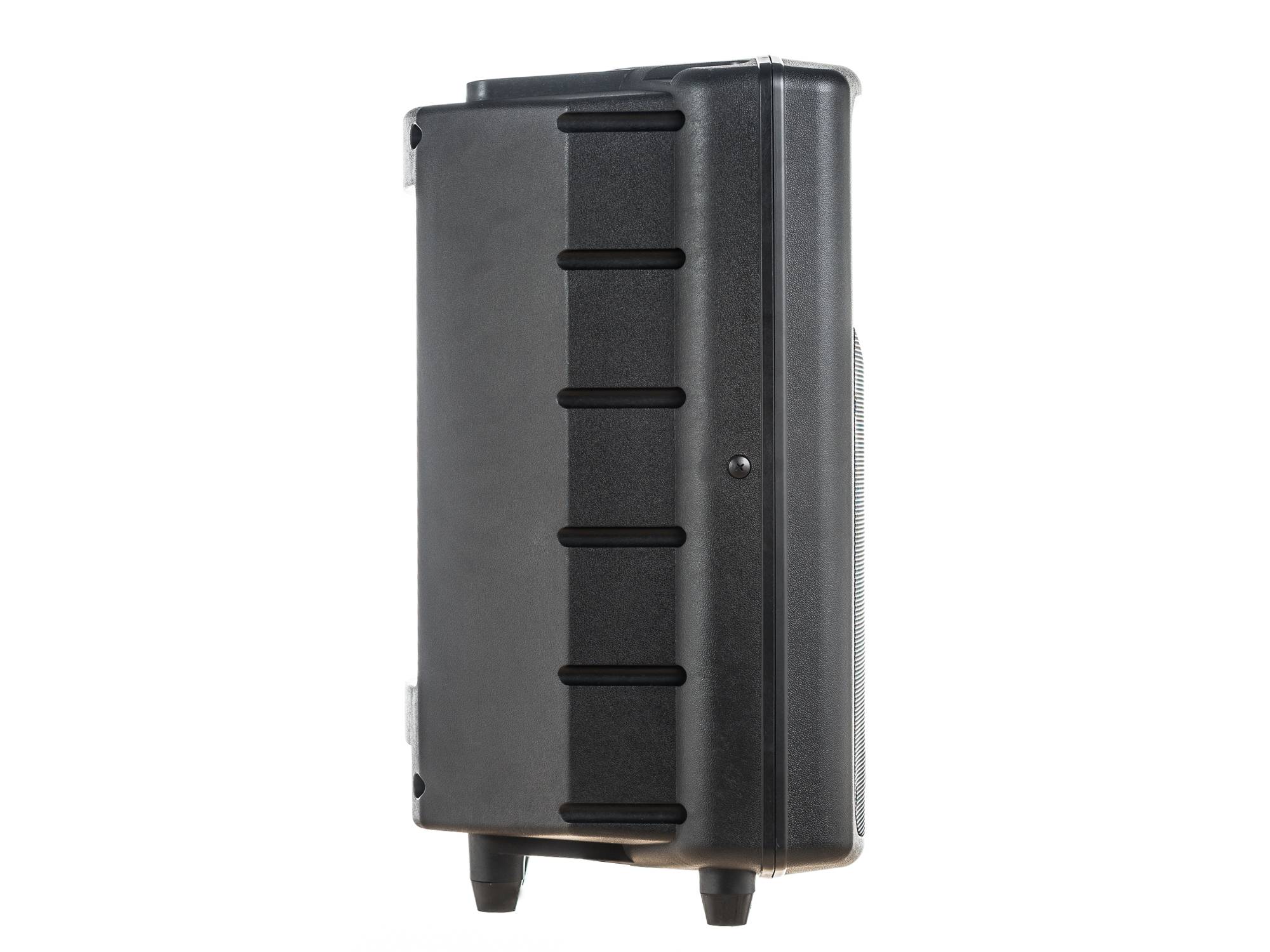 PG Audio PA 150 PA-Lautsprecher 15 Zoll – 250 Watt RMS / 500 Watt Max. – 1 Stück