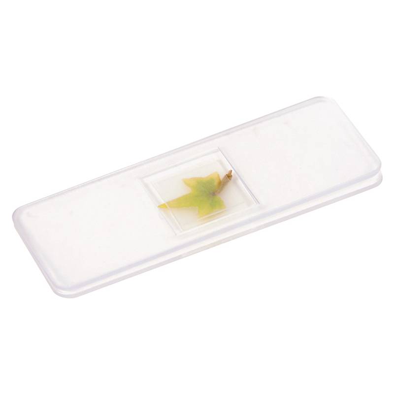 EDUPLAY 150141 Taschenmikroskop mit LED-Beleuchtung, grün