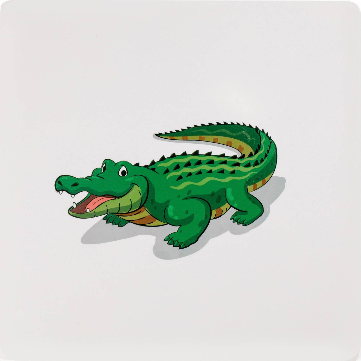 EDUPLAY 120742 Fühlkarten, mehrfarbig, 6-teilig (1 Set)