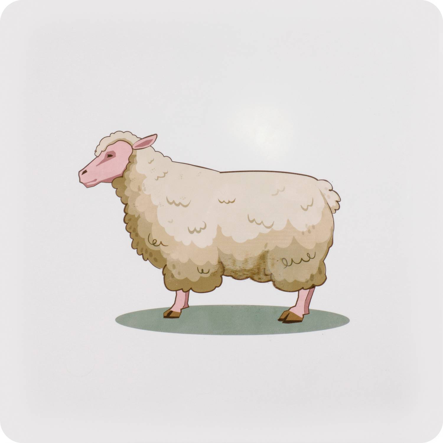 EDUPLAY 120742 Fühlkarten, mehrfarbig, 6-teilig (1 Set)