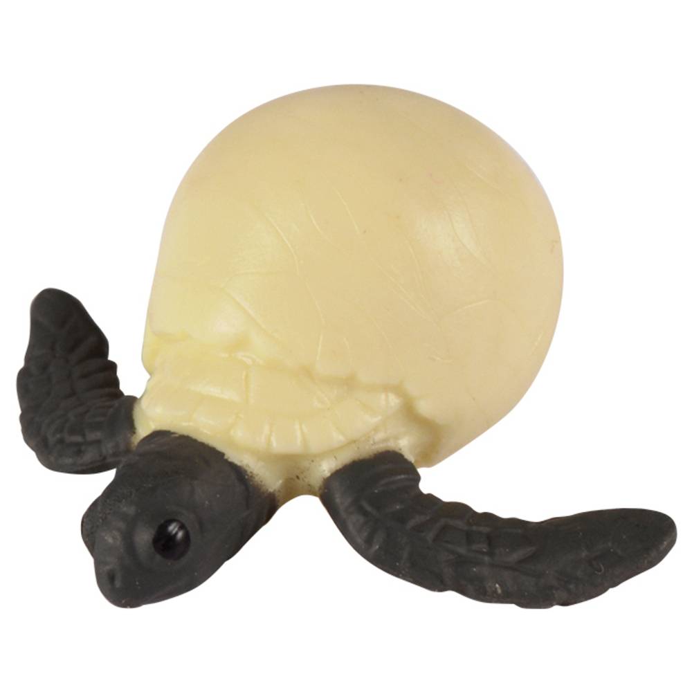 EDUPLAY 120763 Lebenszyklen Meeresschildkröte, 6,2 x 6,6 x 2 cm, mehrfarbig