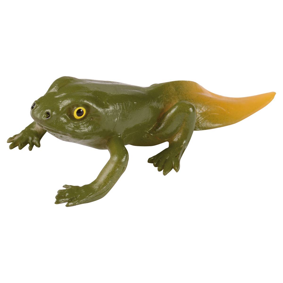 EDUPLAY 120764 Lebenszyklen Frosch