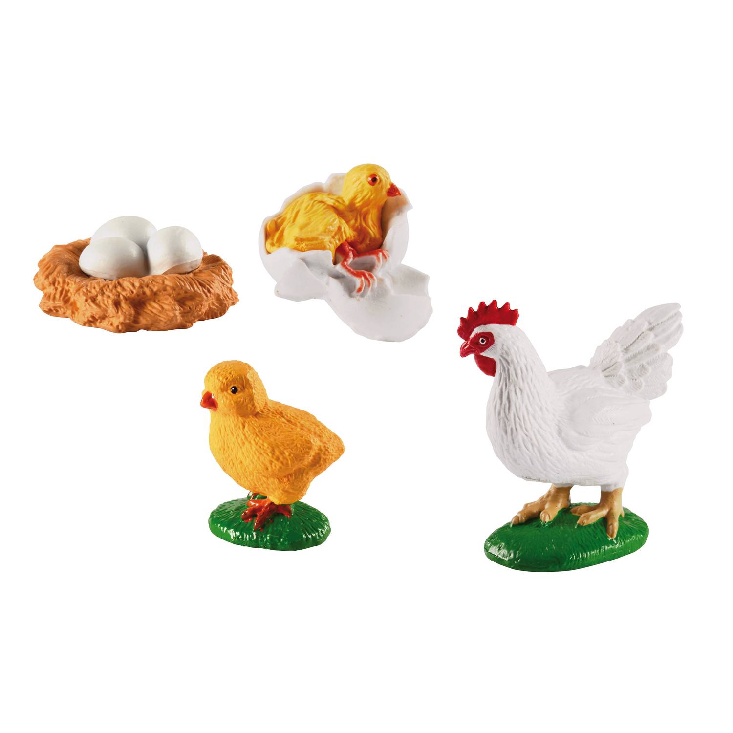 EDUPLAY 120765 Lebenszyklen Huhn