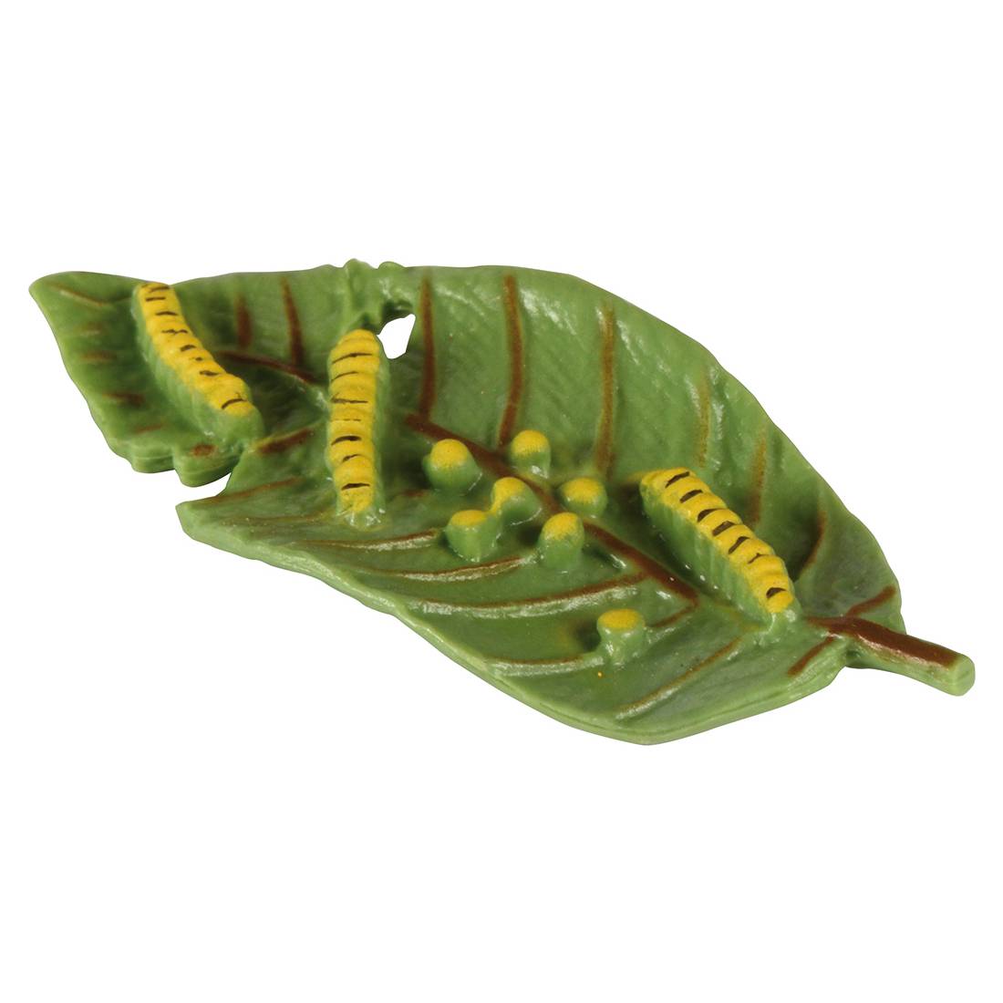 EDUPLAY 120766 Lebenszyklen Schmetterling