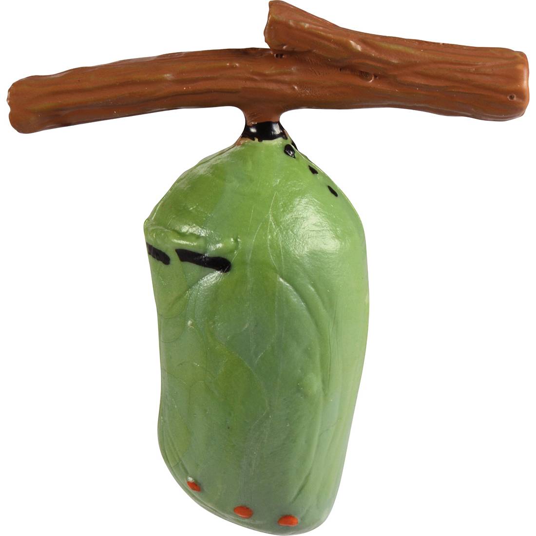 EDUPLAY 120766 Lebenszyklen Schmetterling