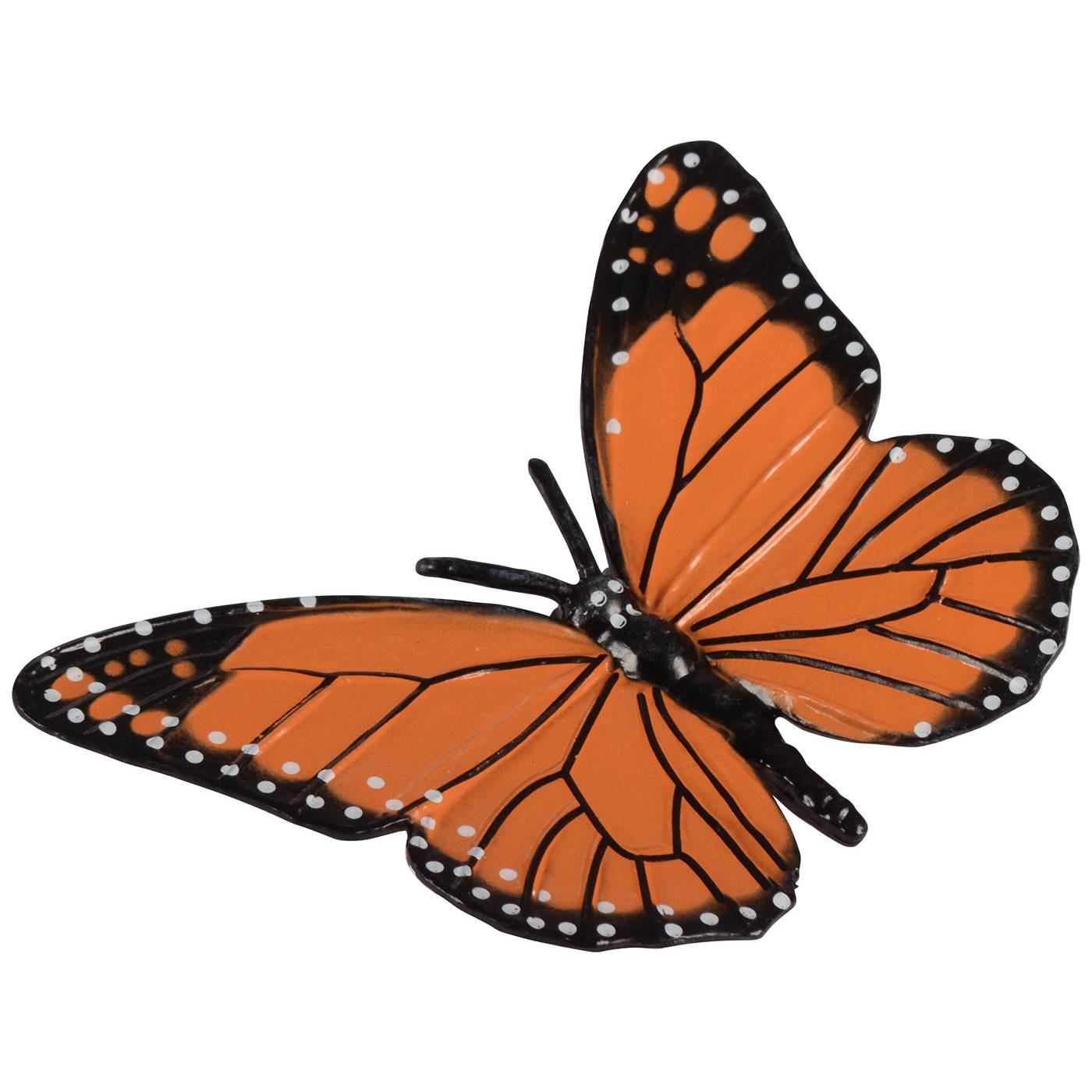 EDUPLAY 120766 Lebenszyklen Schmetterling