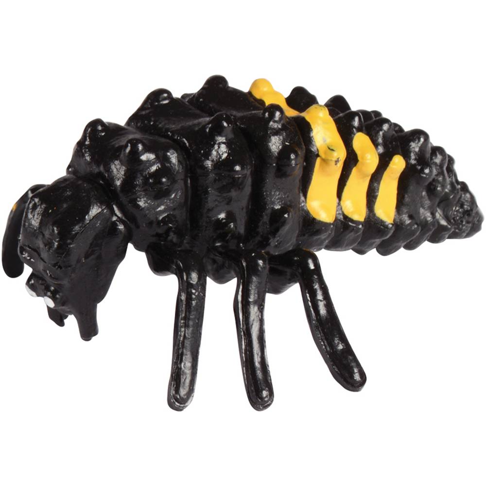 EDUPLAY 120767 Lebenszyklen Marienkäfer