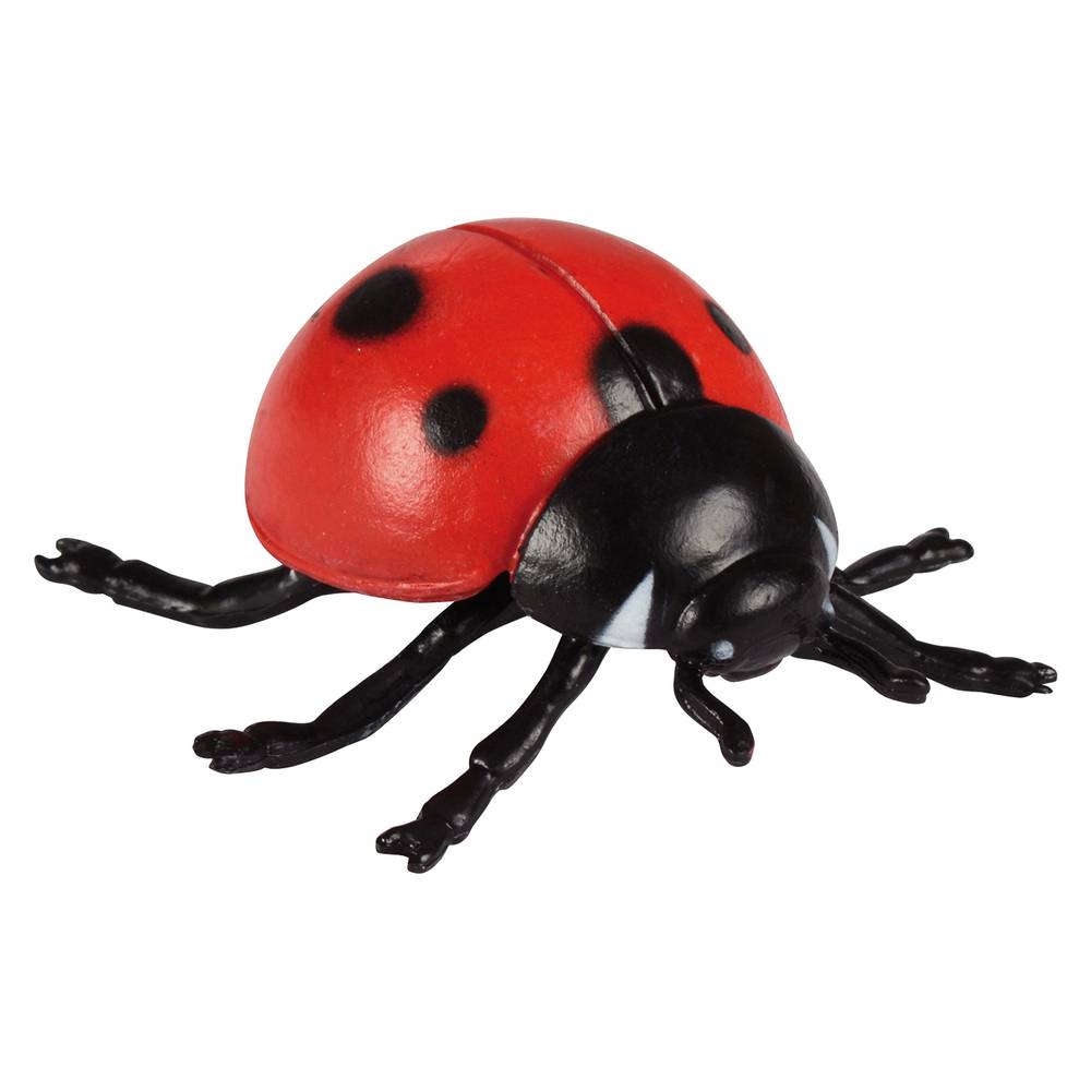 EDUPLAY 120767 Lebenszyklen Marienkäfer