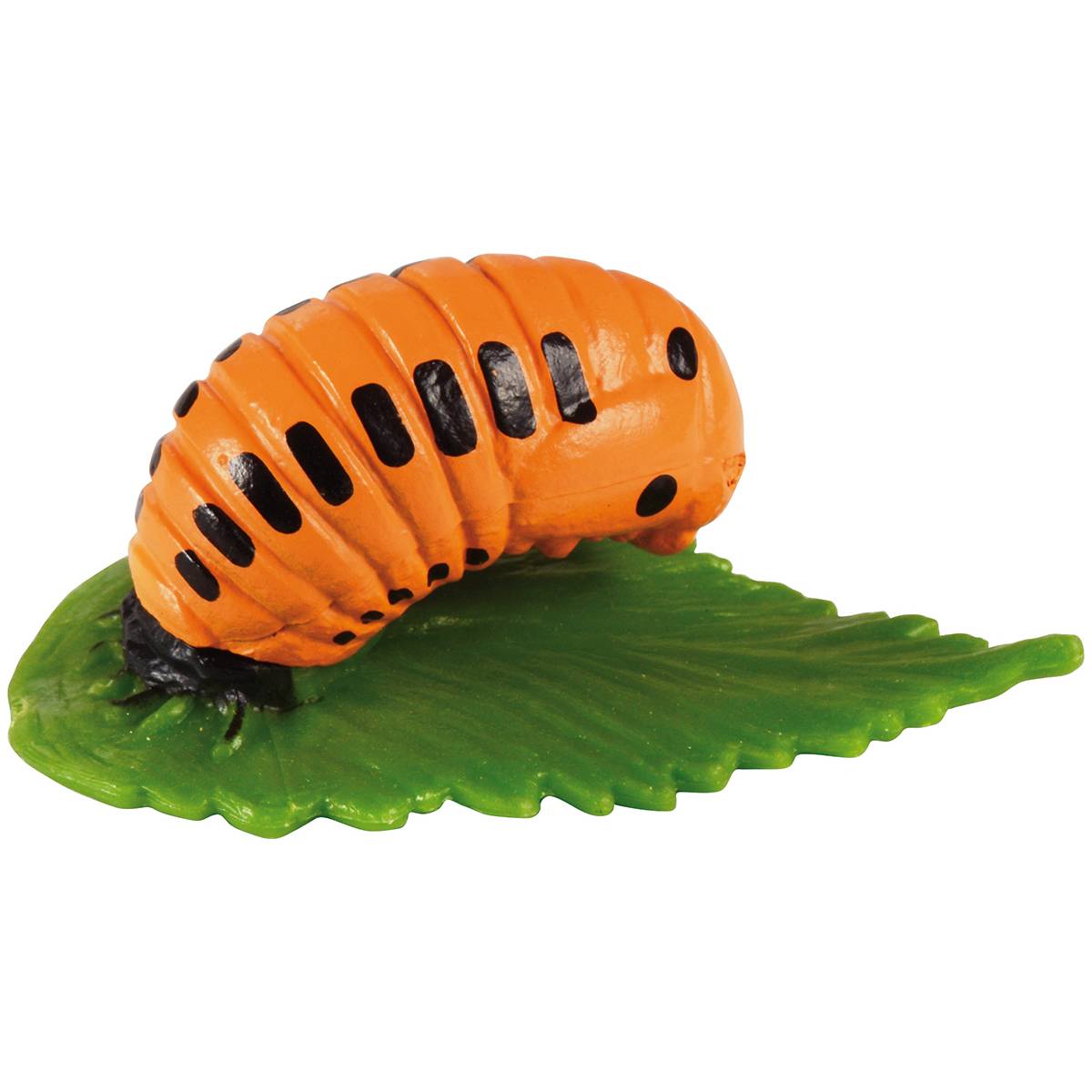 EDUPLAY 120767 Lebenszyklen Marienkäfer