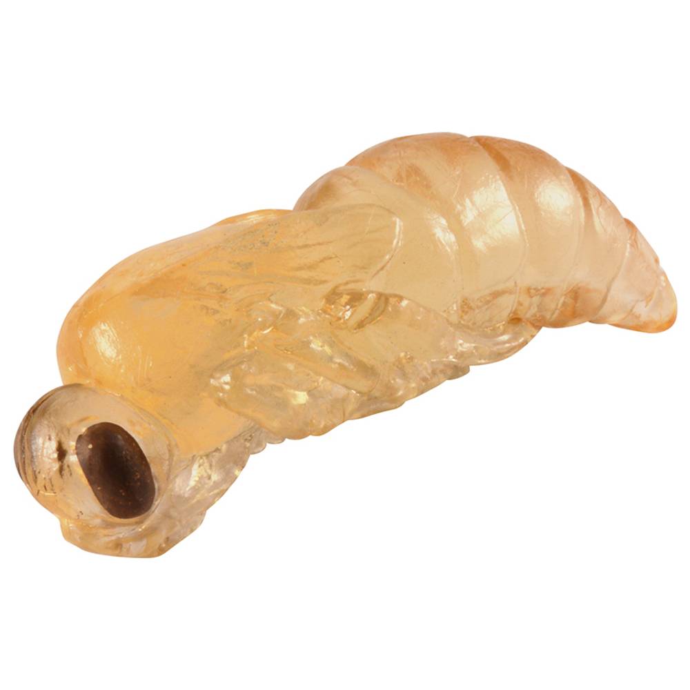 EDUPLAY 120768 Lebenszyklen Biene