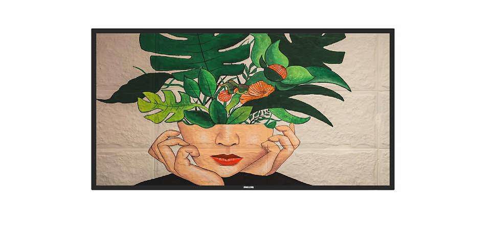 Philips 65BDL4511D - 165 cm (65") Diagonalklasse (163.8 cm (64.5") - sichtbar) -