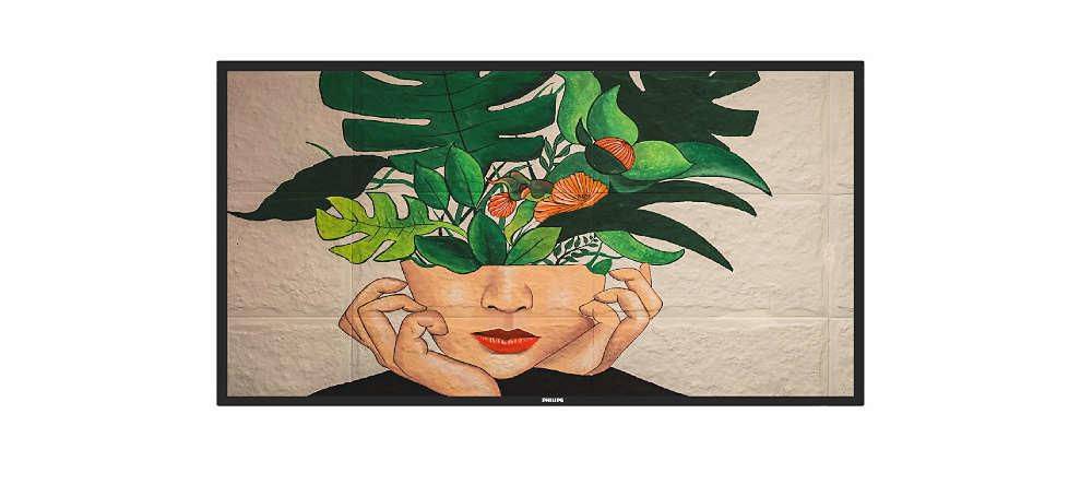 Philips 50BDL4511D - 127 cm (50") Diagonalklasse (125.7 cm (49.5") - sichtbar) -