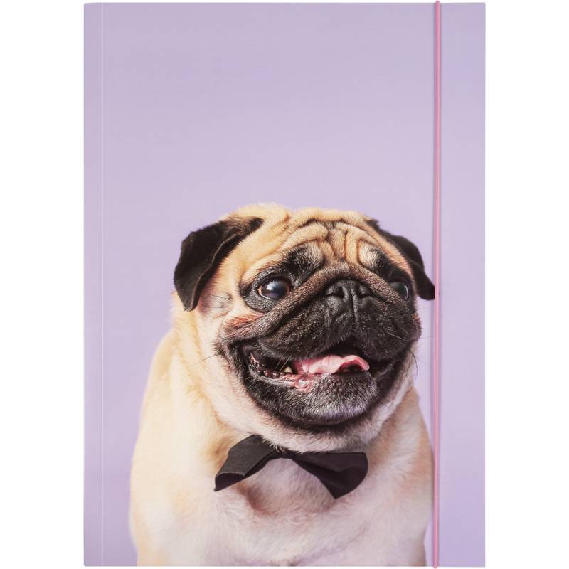 folia Zeichnungsmappe BASIC "Puggy Love", Karton, DIN A3