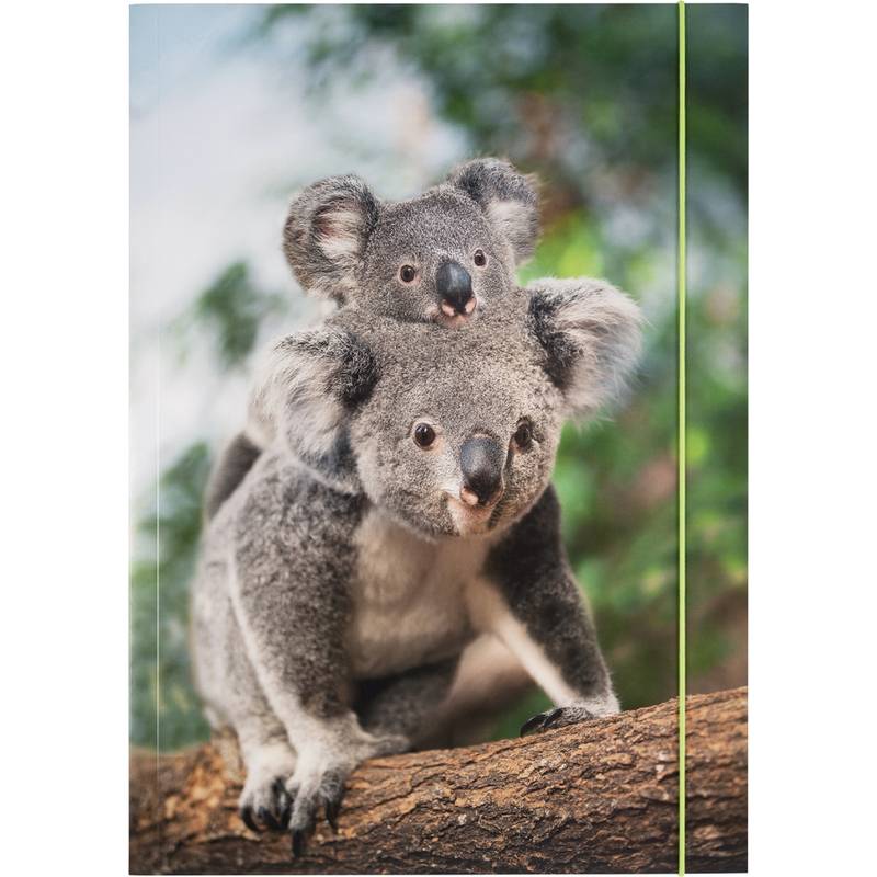 folia Zeichnungsmappe BASIC "Jungle Cuties", Karton, DIN A3