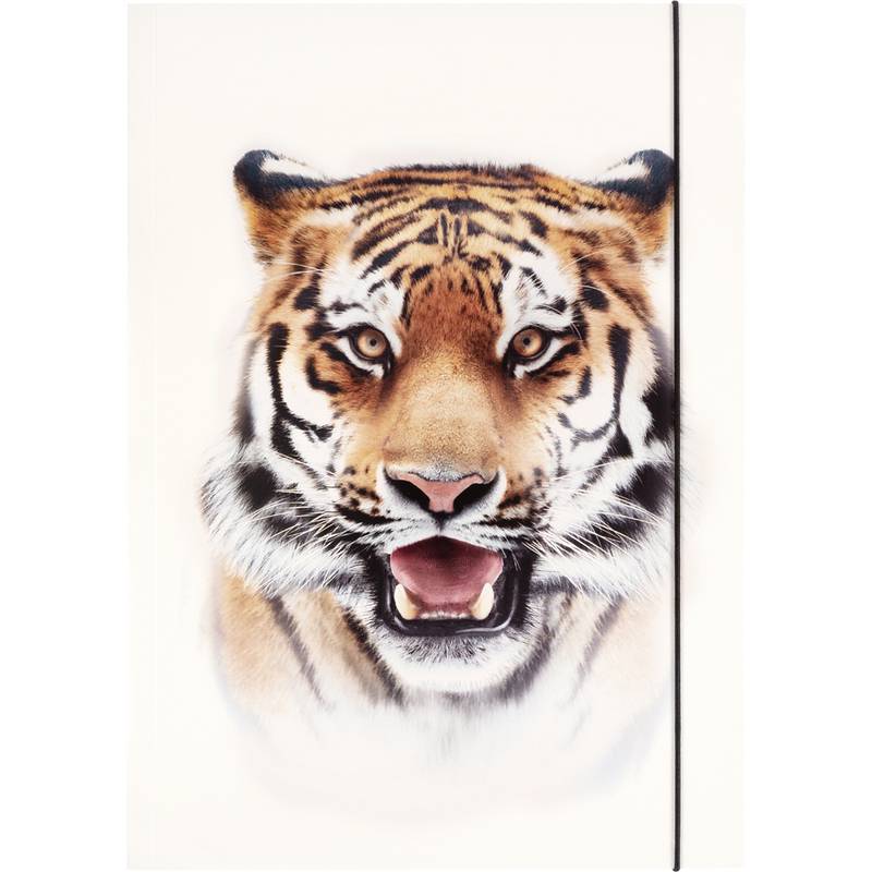 folia Zeichnungsmappe BASIC "Roaring Tiger", Karton, DIN A3