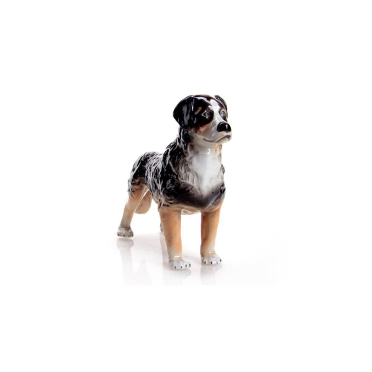 02885/40 - Berner Sennenhund