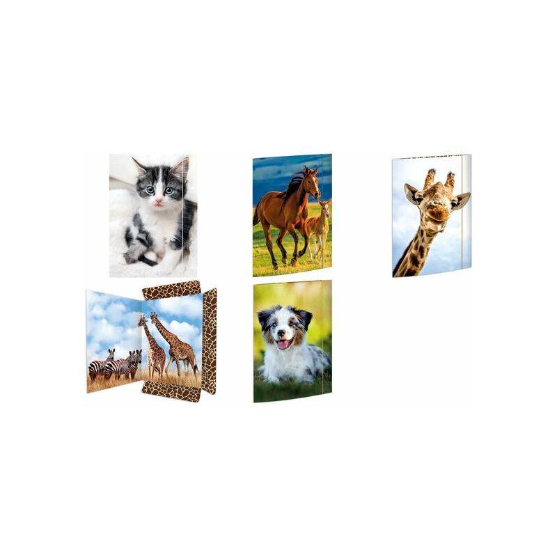 RNK Verlag Zeichnungsmappe "Safari", DIN A3