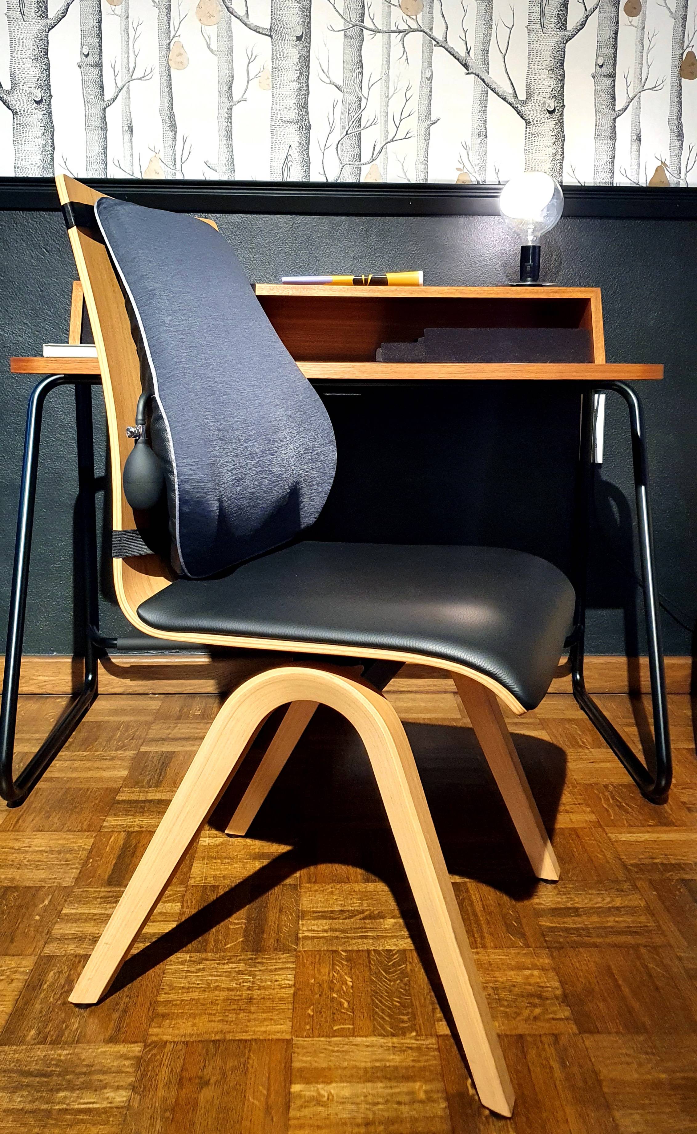 ERGOLEBEN ergonomisches Lendenstützkissen mit integriertem Luftkissen aufblasbar | Rückenstütze für Stühle bis 37cm Lehnenbreite | Rückenkissen