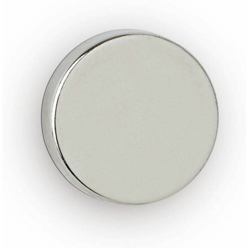 MAUL Neodym-Scheibenmagnet, 12 mm, Haftkraft: 2,5 kg, silber