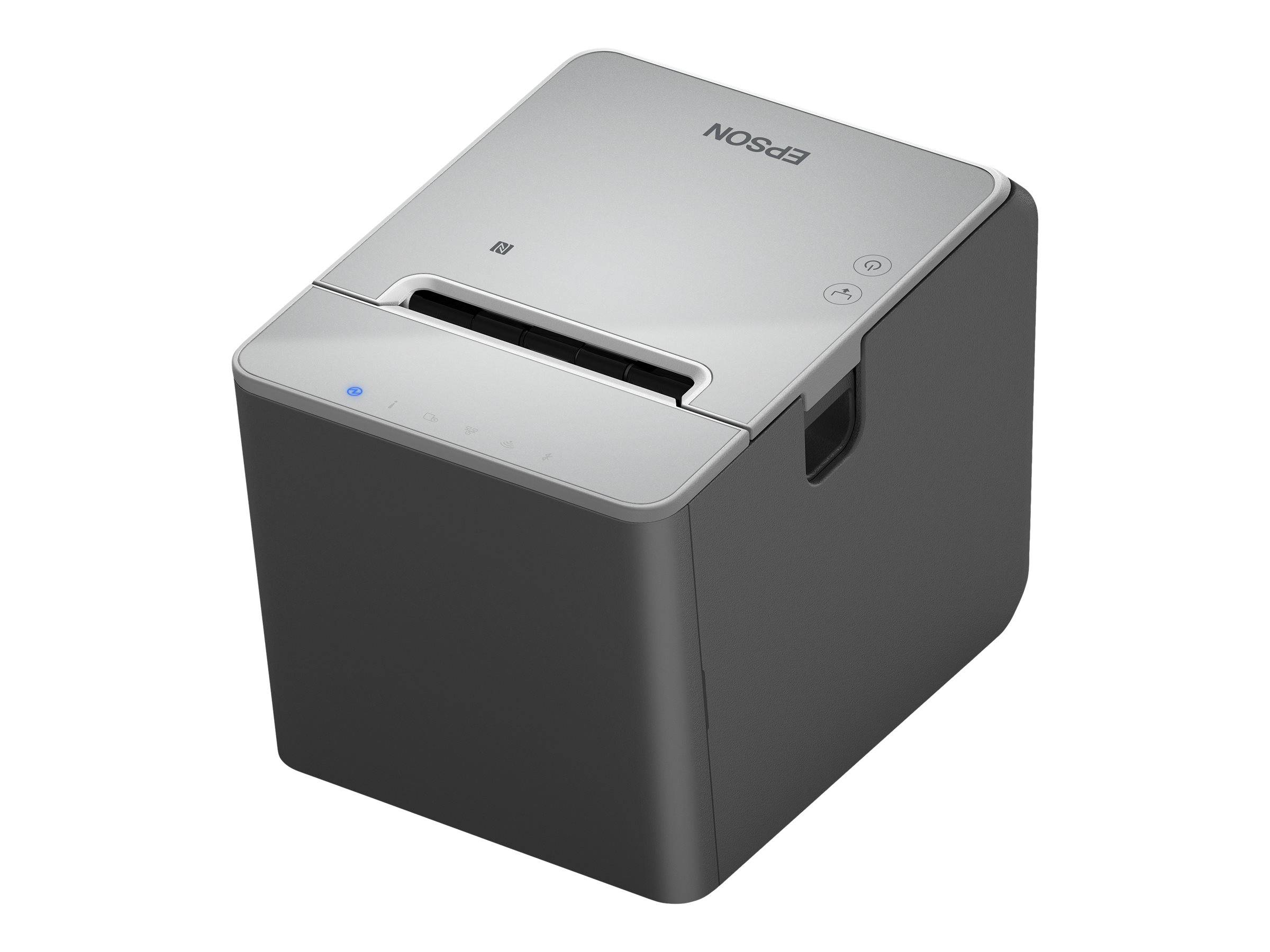 Epson TM L100 (121) - Belegdrucker - Thermozeile