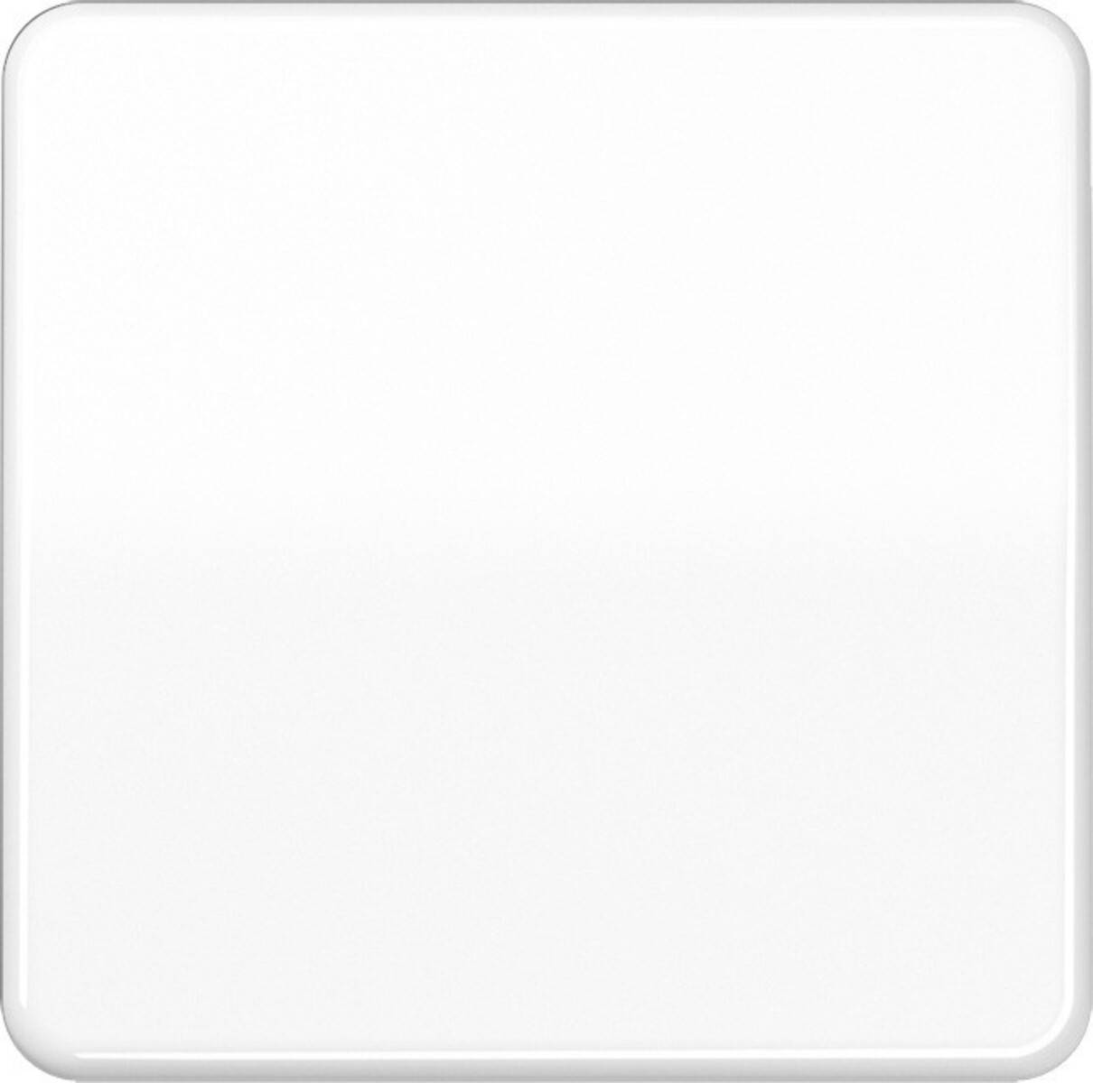 Jung Steuertaste Standard CD 1700 WW