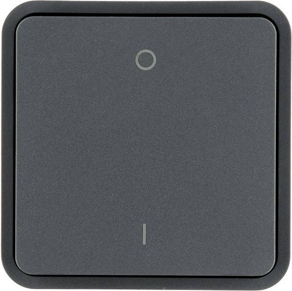 Berker Wippe 30423545