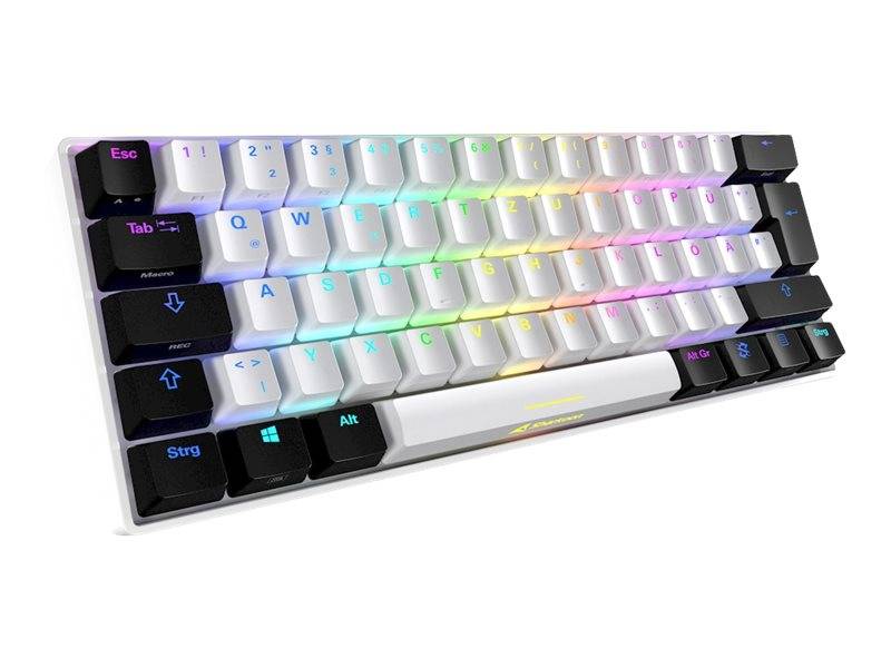 Sharkoon SKILLER SGK50 S4 - Tastatur - Hintergrundbeleuchtung