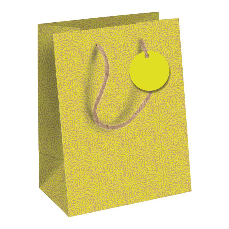 Clairefontaine Geschenktüte "Neon", klein