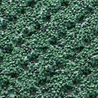 etm Sicherheits-Matte | gegen Glätte | Grün | 120x100 cm etm Sicherheits-Matte | gegen Glätte | Grün | 120x100 cm