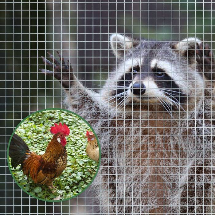 Floordirekt Drahtgitter Verzinkt für Gehege & Rankhilfe Maschenweite 6,3 mm – 50 cm x 10 m – Robuster Zaun für Kleintiere und Pflanzen